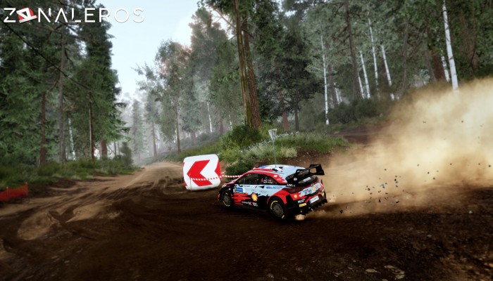 WRC 10: FIA World Rally Championship Deluxe Edition gameplay
